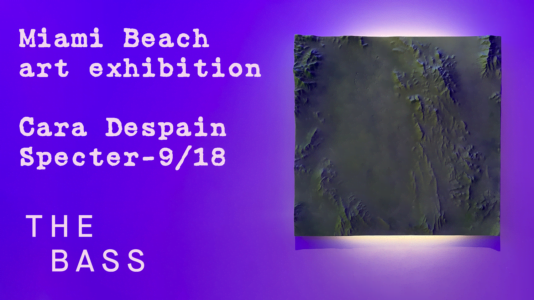 Cara Despain Specter art exhibition at Bass Museum Miami Beach