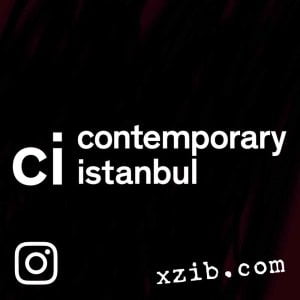 Contemporary Istanbul