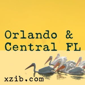 Orlando art exhibitions, galleries, art museums, and studios