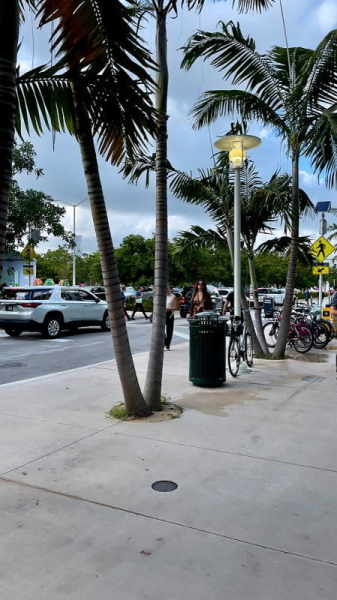 Art Basel Miami Beach 2022