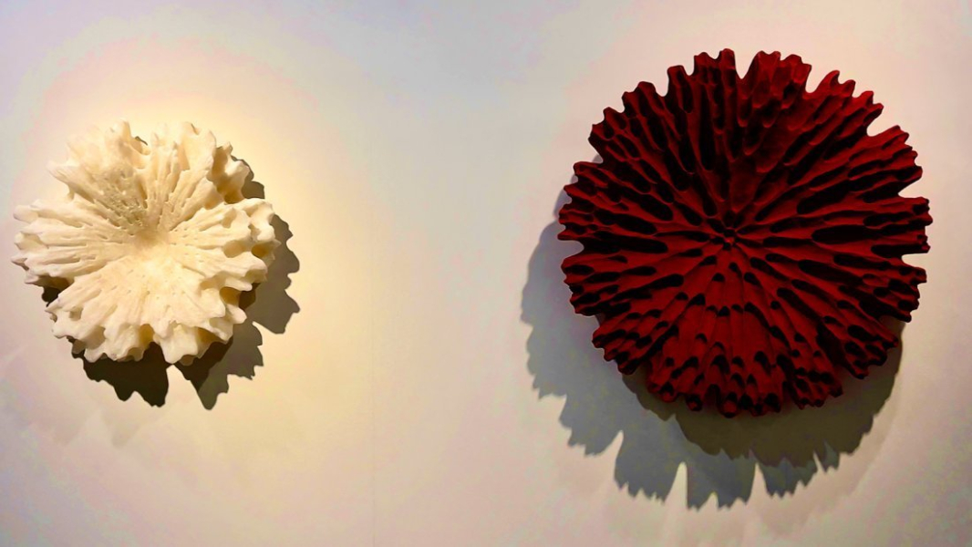 Elvira Gonzalez ABMB