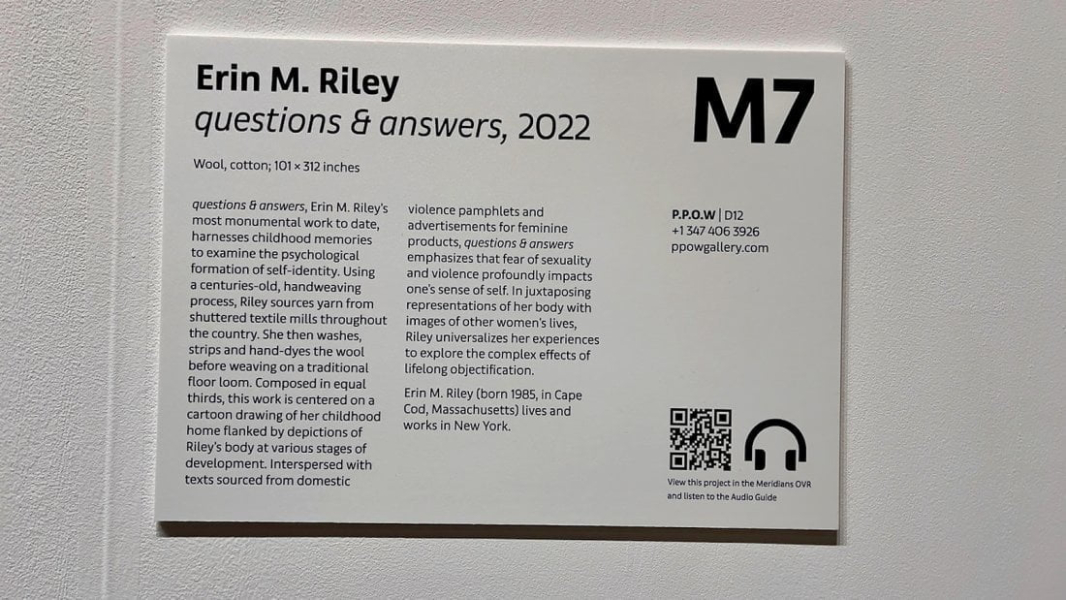 Erin M. Riley Questions And Answers