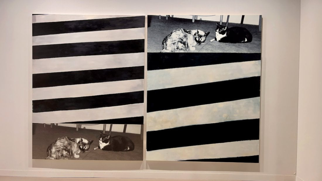 Hannah Hoffman | ABMB