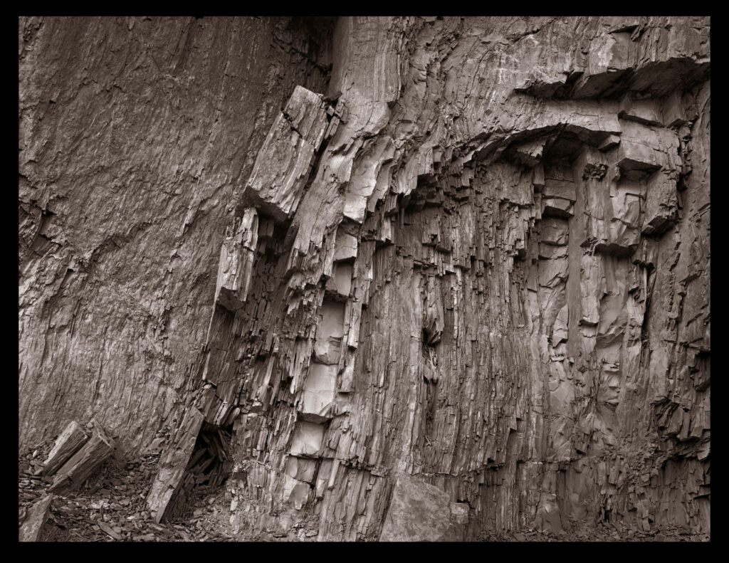 20220408 - 20220705 | The Florida Museum of Photographic Arts | GROUP SHOW-Forever Young: Creative Aging Photography Show | TAMPA St Pete | Tampa museum