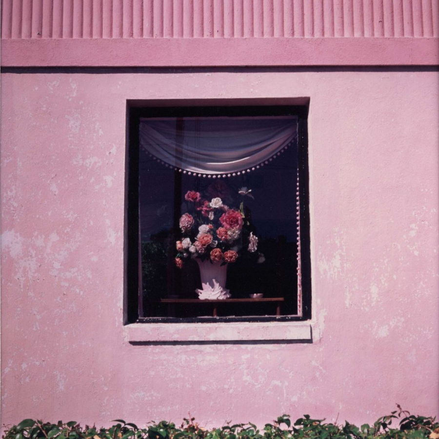 20220603 - 20221125 | The Florida Museum of Photographic Arts | Suzanne Camp Crosby