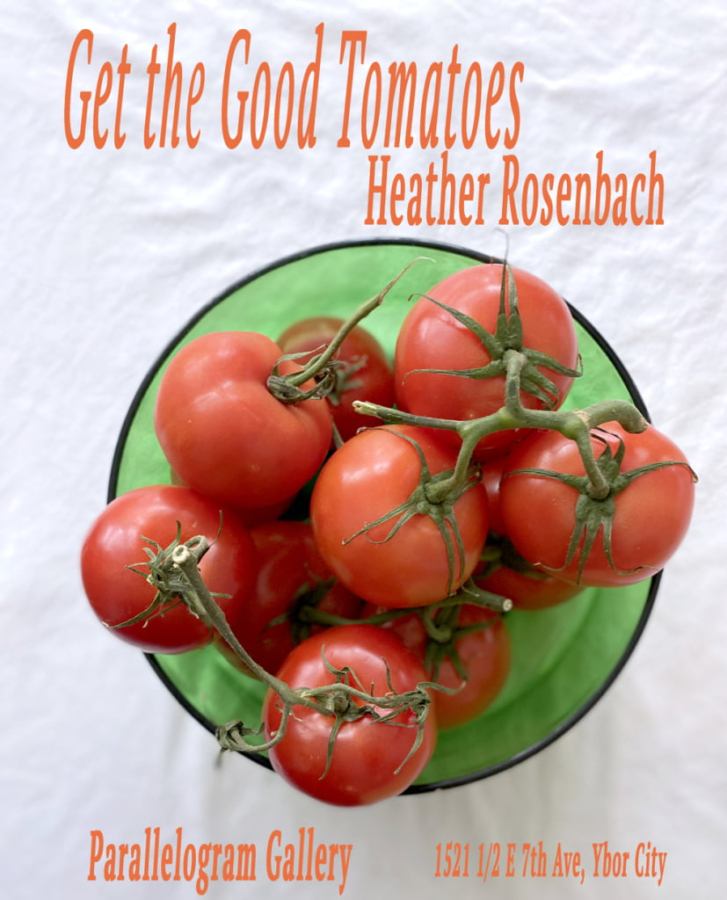 parrelleogram gallery | Heather Rosenbach Tampa Art Gallery Exhibition